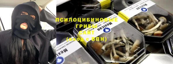дмт Нягань