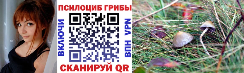 Псилоцибиновые грибы Magic Shrooms  Купить закладки  Тамбов 